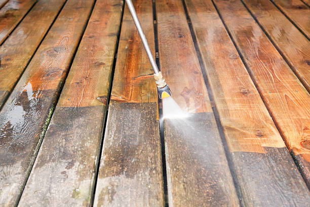 Best Driveway Pressure Washing  in Krugerville, TX